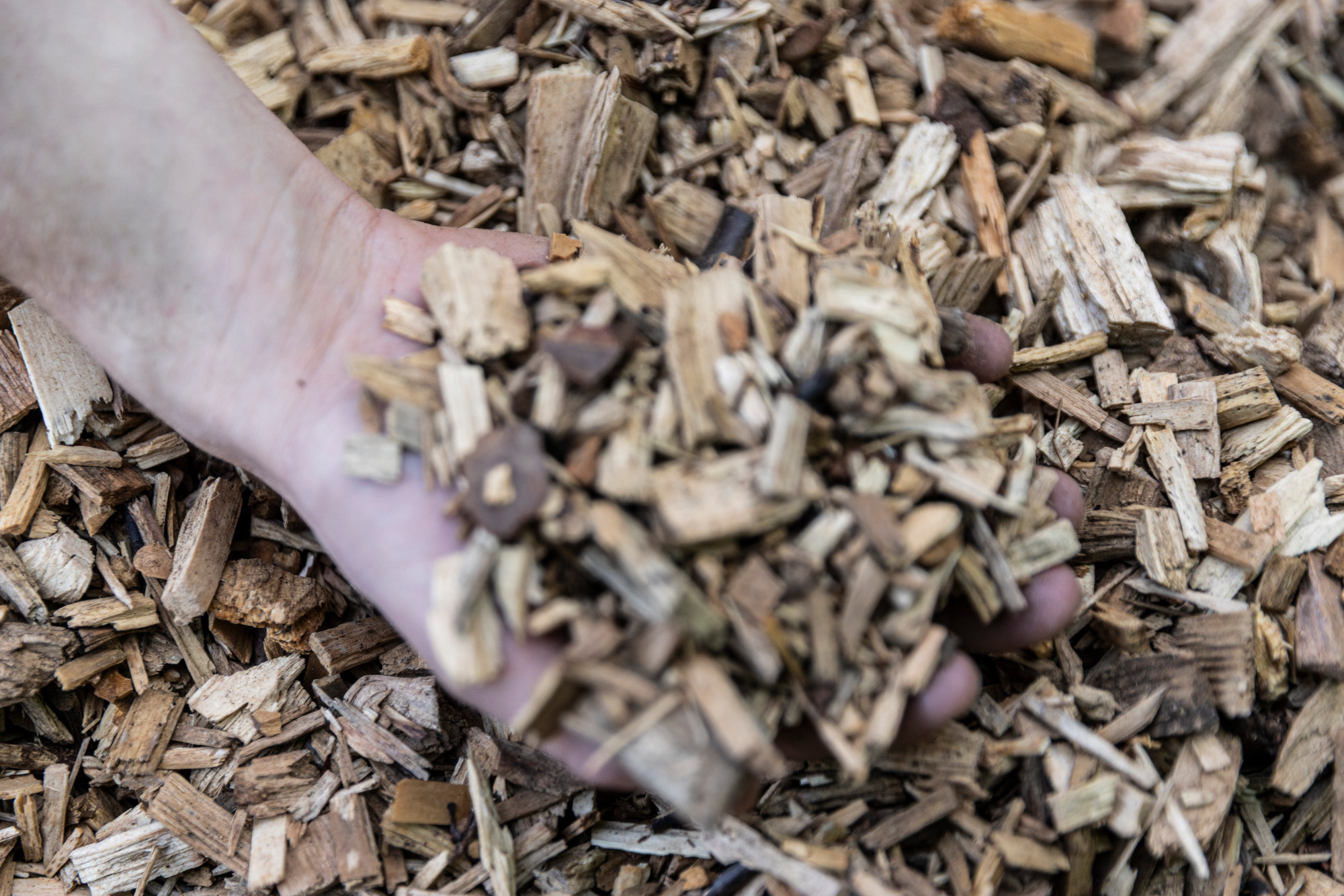 Biomasse Hackschnitzel