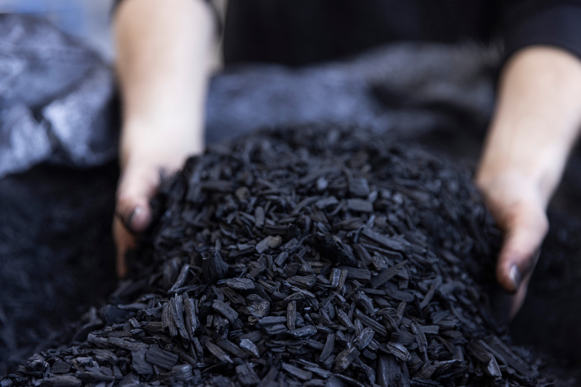 Pflanzenkohle Detail