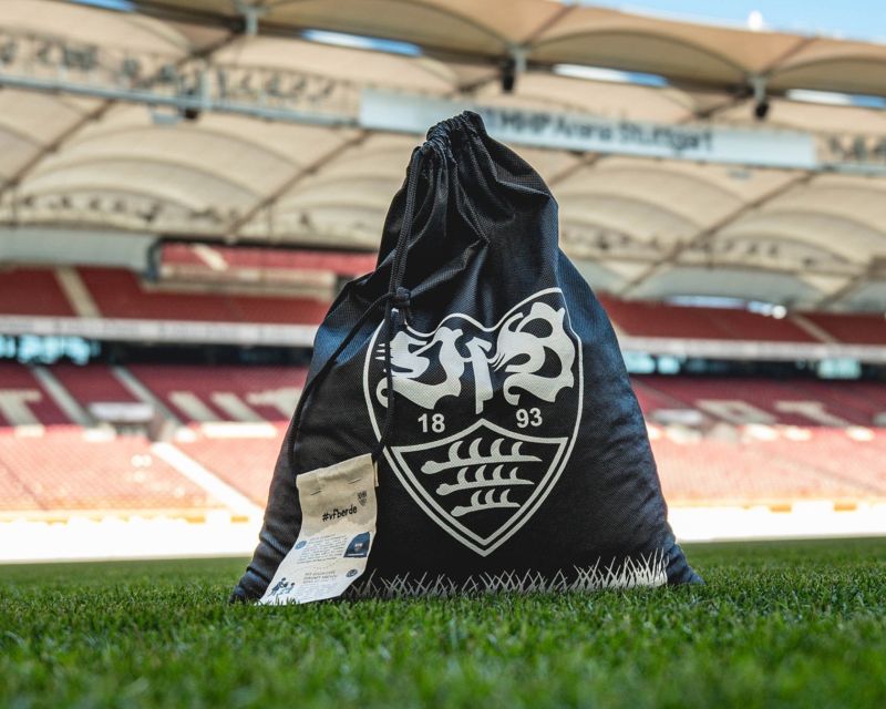 VfB Erde